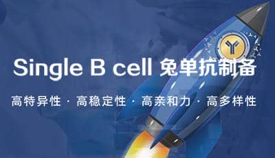 普健生物Xten&trade; Mab Single B 兔 單克隆抗體開發(fā)服務(wù)驚喜上市