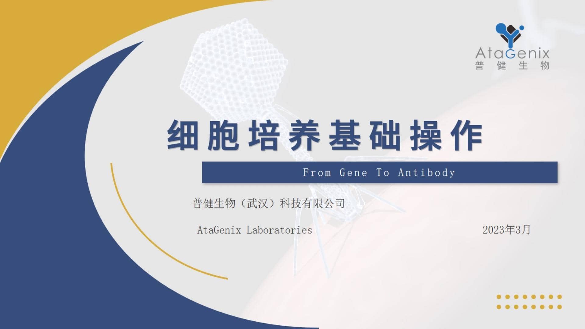 基礎試驗操作篇&mdash;&mdash;細胞培養