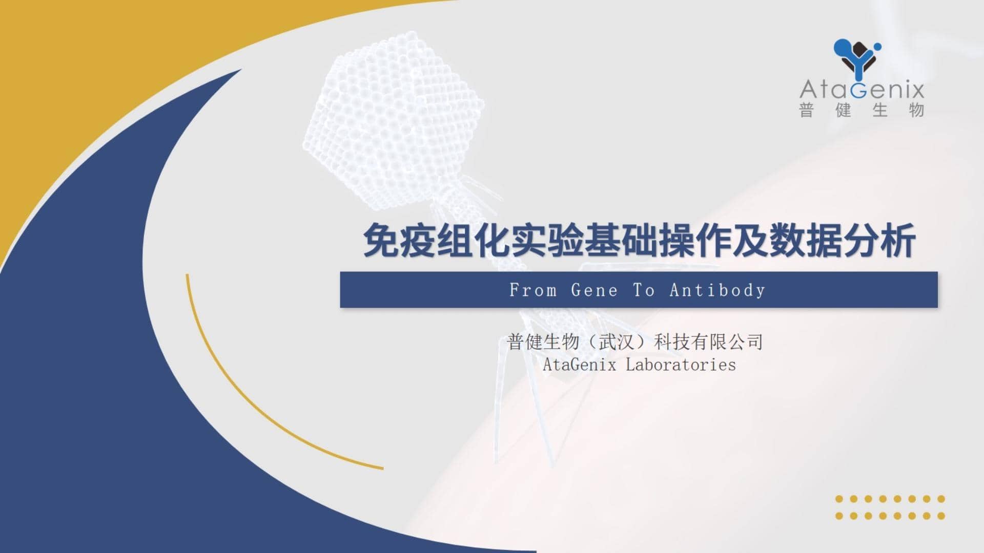 【基礎(chǔ)實(shí)驗(yàn)一篇搞定】免疫組化&mdash;&mdash;IHC實(shí)驗(yàn)基礎(chǔ)操作