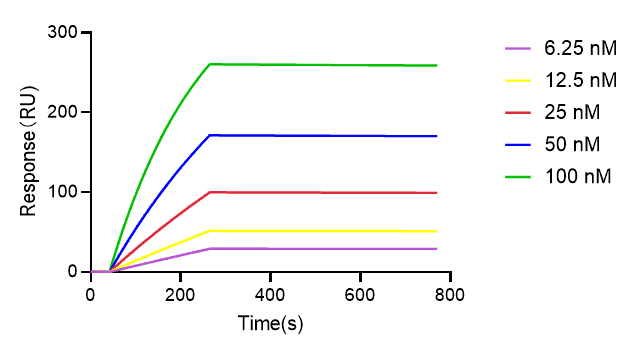重組納米抗體與抗原親和力測定