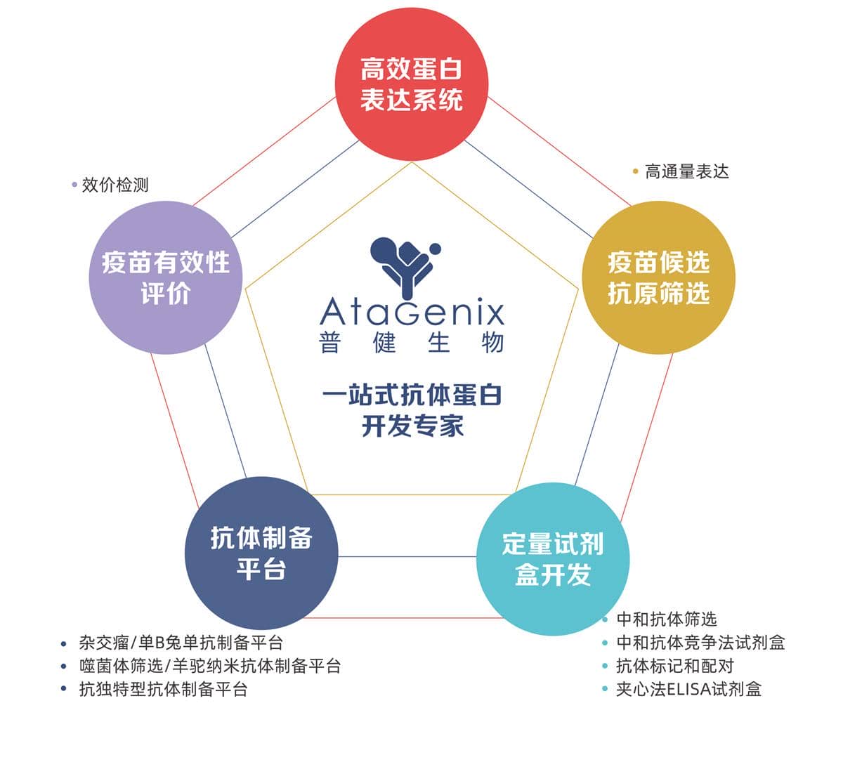 疫苗研發輔助工具開發