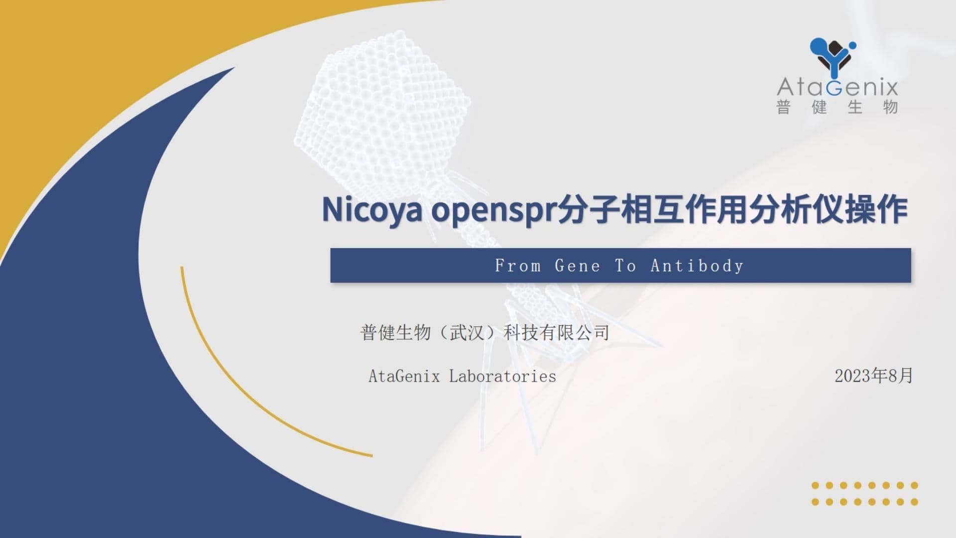 基礎(chǔ)試驗(yàn)操作篇&mdash;&mdash;SPR親和力測定