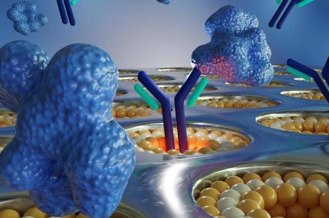 雜交瘤、噬菌體以及單B細(xì)胞技術(shù)該選擇哪個(gè)?