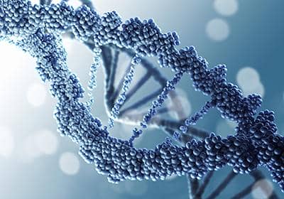 重組蛋白表達之細胞轉(zhuǎn)染的原理及問題解析